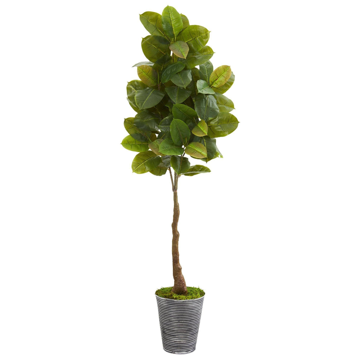 65” Rubber Leaf Artificial Tree in Decorative Tin Planter (Real Touch)