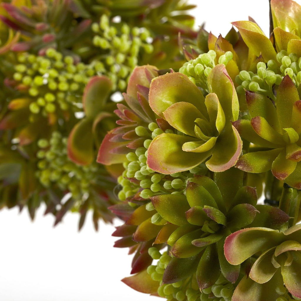 7” Mixed Succulent Hanging Spheres (Set of 2)