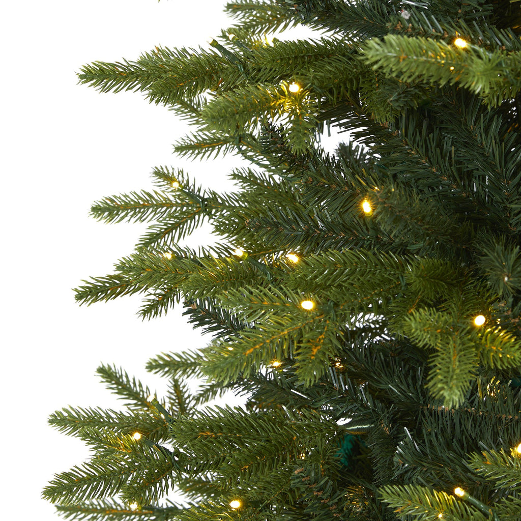 7.5’ Belgium Fir “Natural Look” Artificial Christmas Tree with 550 Clear LED Lights