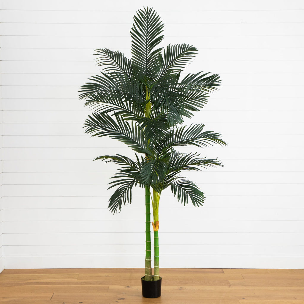 8'  Golden Cane Palm Silk Tree