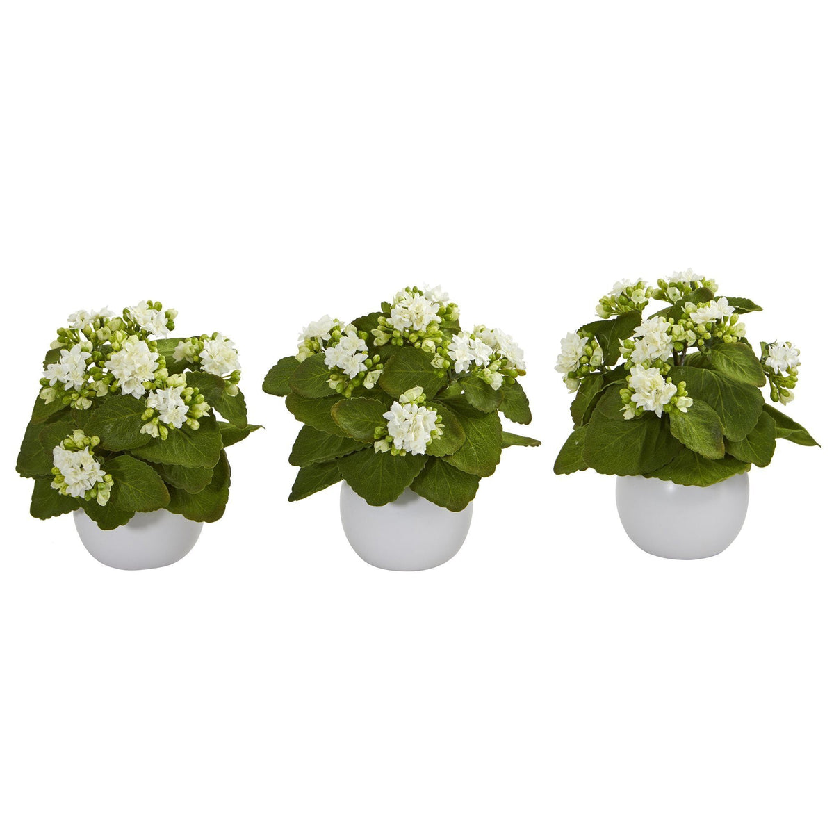 8” Kalanchoe Artificial Plant in White Vase (Set of 3)