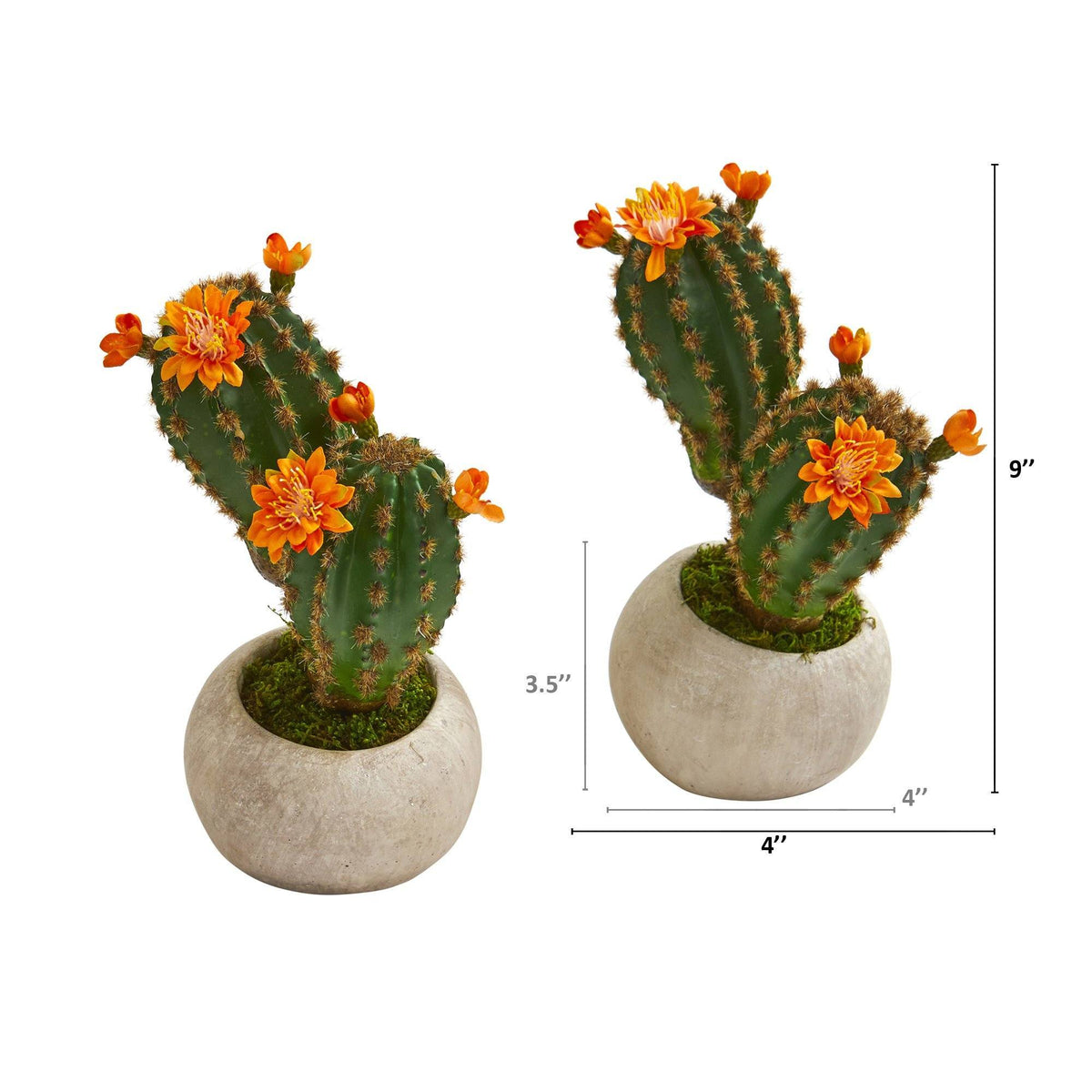 9” Flowering Cactus Succulent Artificial Plant in Stone Planter (Set of 2)
