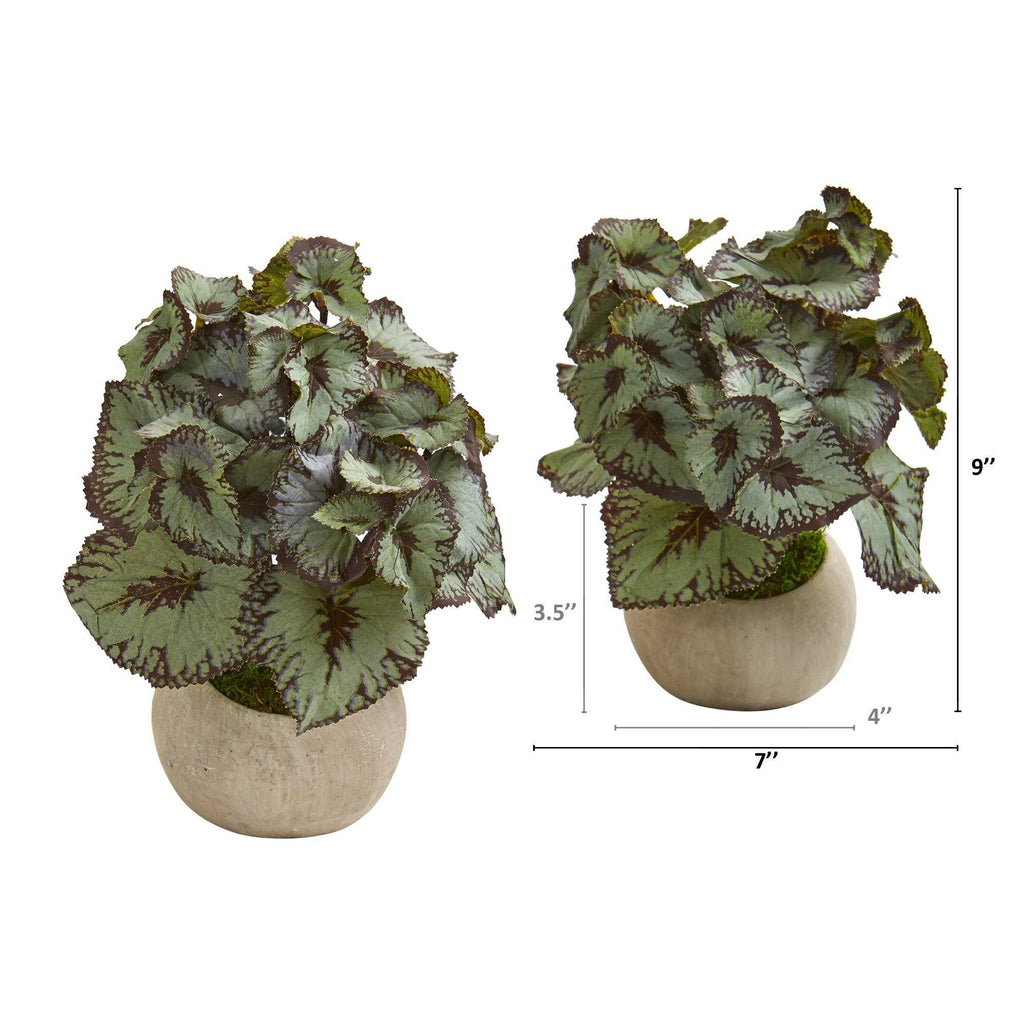 9” Rex Begonia Artificial Plant in Stone Gray Planter (Set of 2)