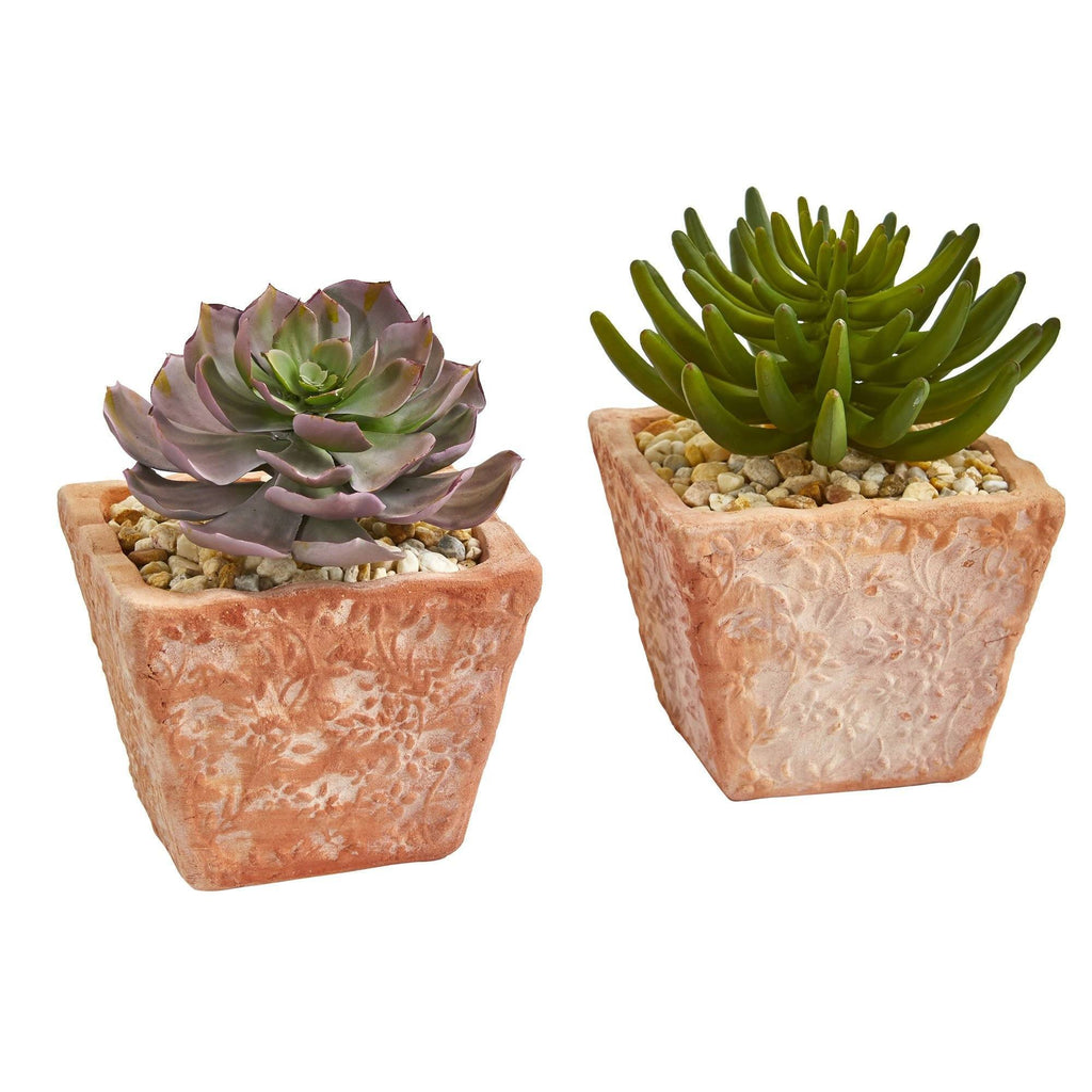9” Succulent Artificial Plant in Terra Cotta Planter (Set of 2)