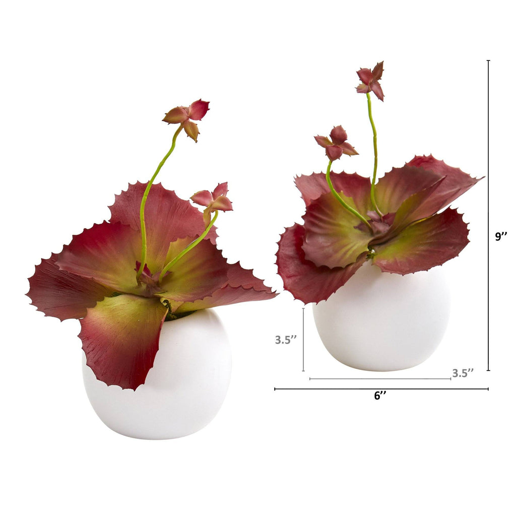 9” Succulent Artificial Plant in White Planter (Set of 2)