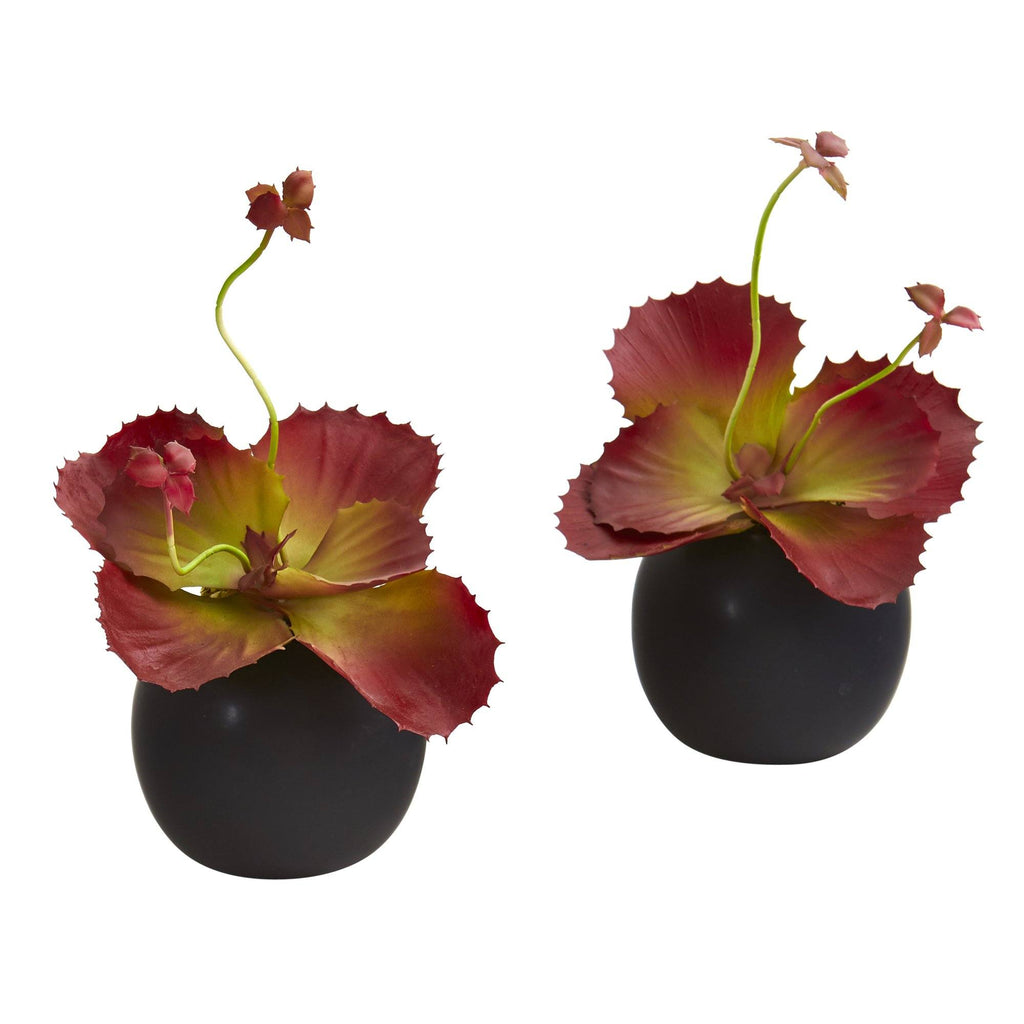 9” Succulent Artificial Plant in White Planter (Set of 2)