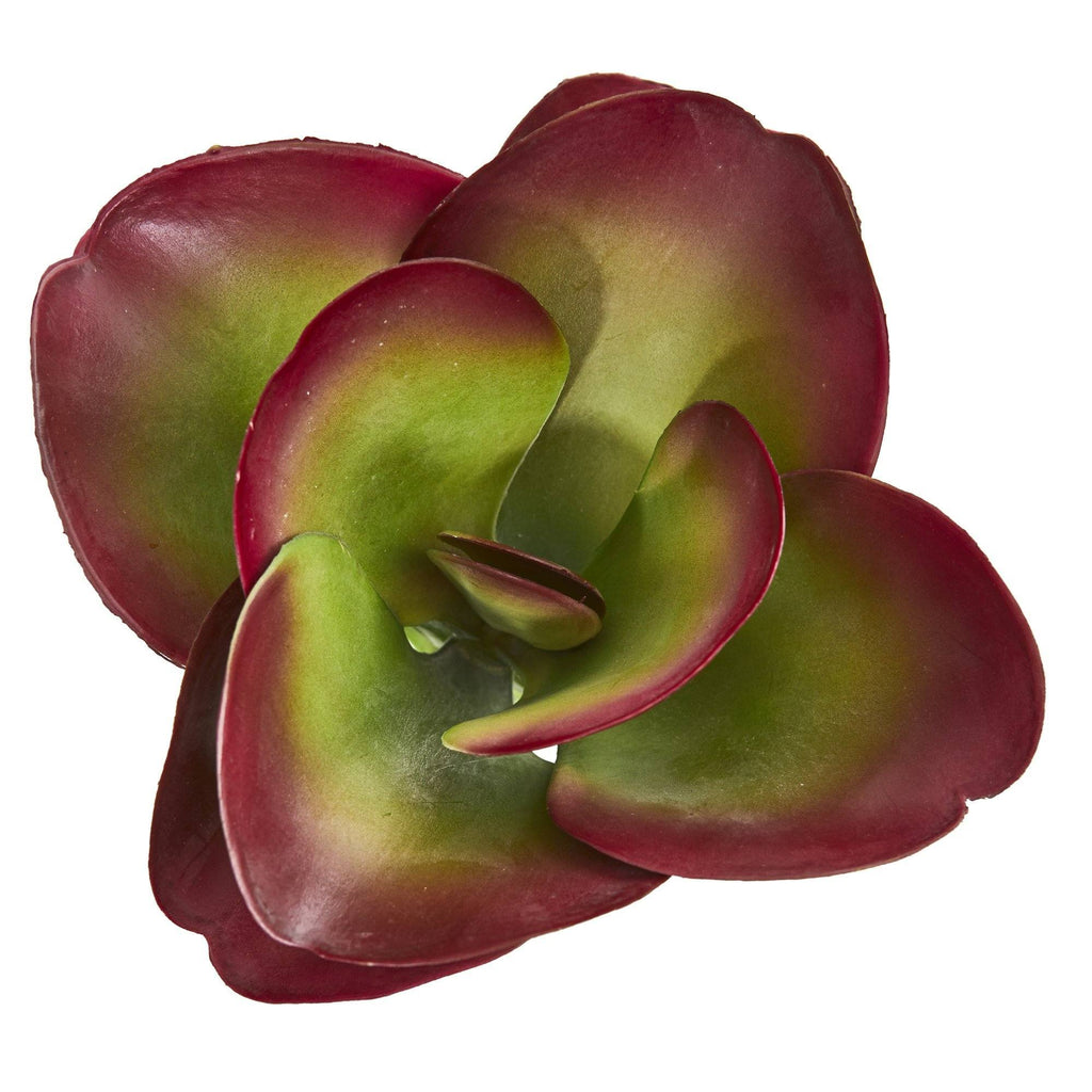 9” Succulent Artificial Plant (Set of 6)
