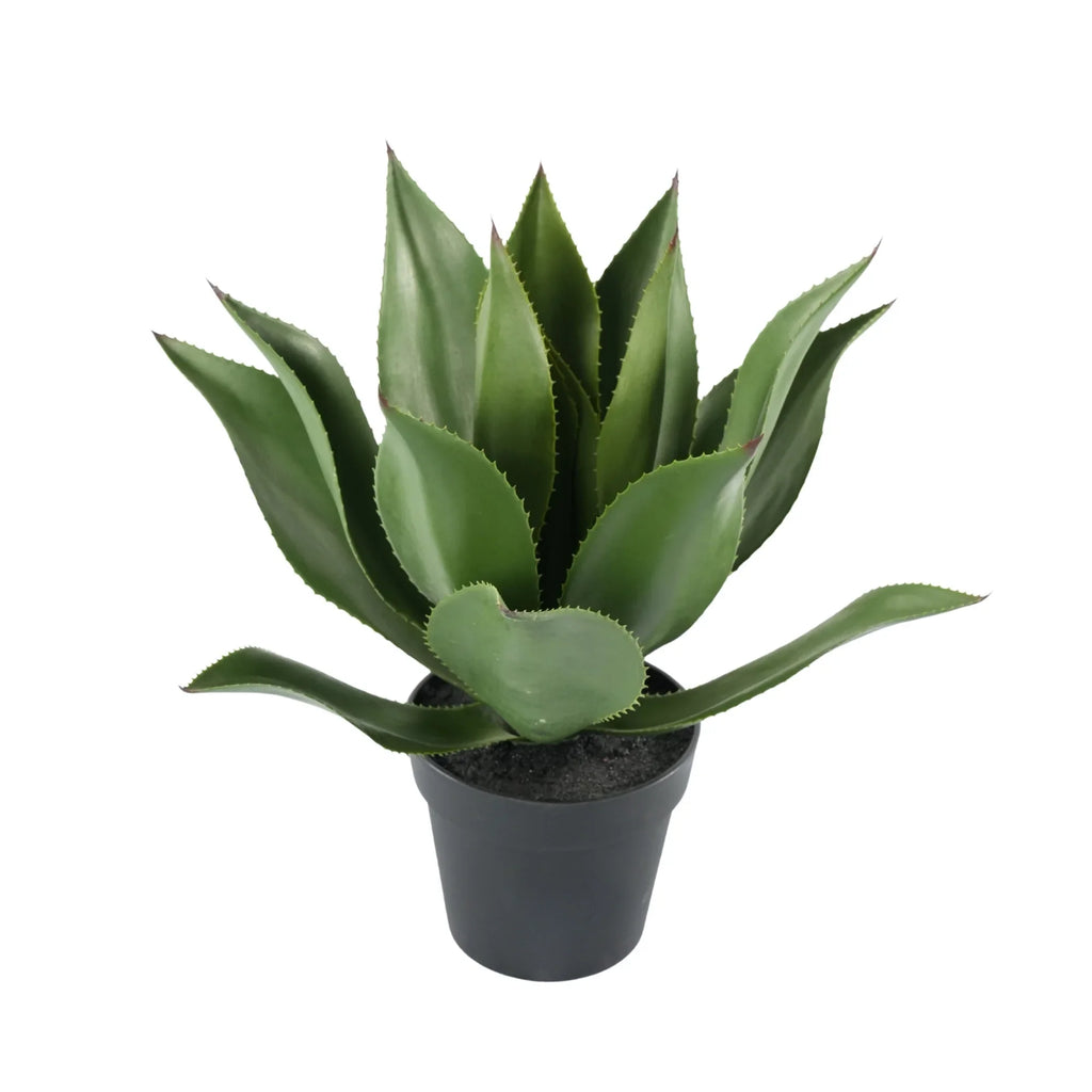 Agave Artificial Tree 21.7in – UV Resistant