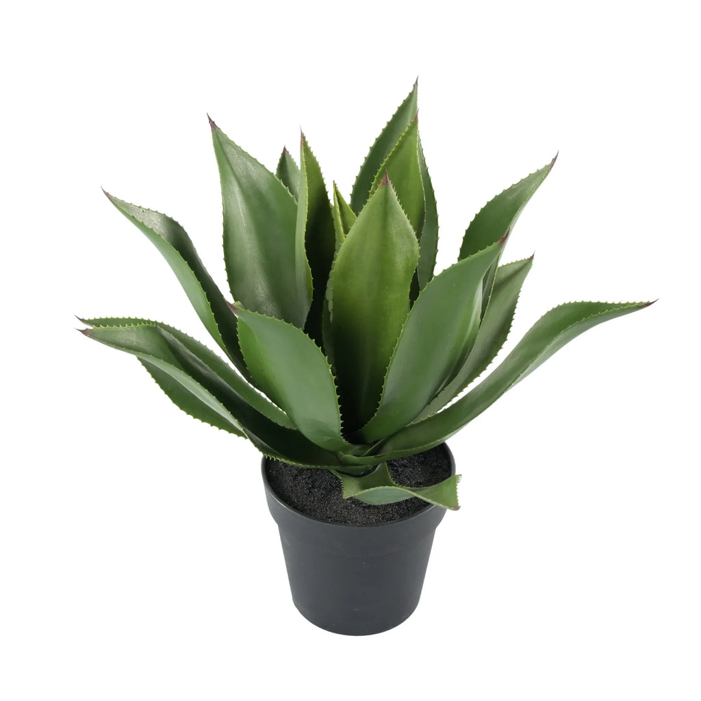 Agave Artificial Tree 21.7in – UV Resistant