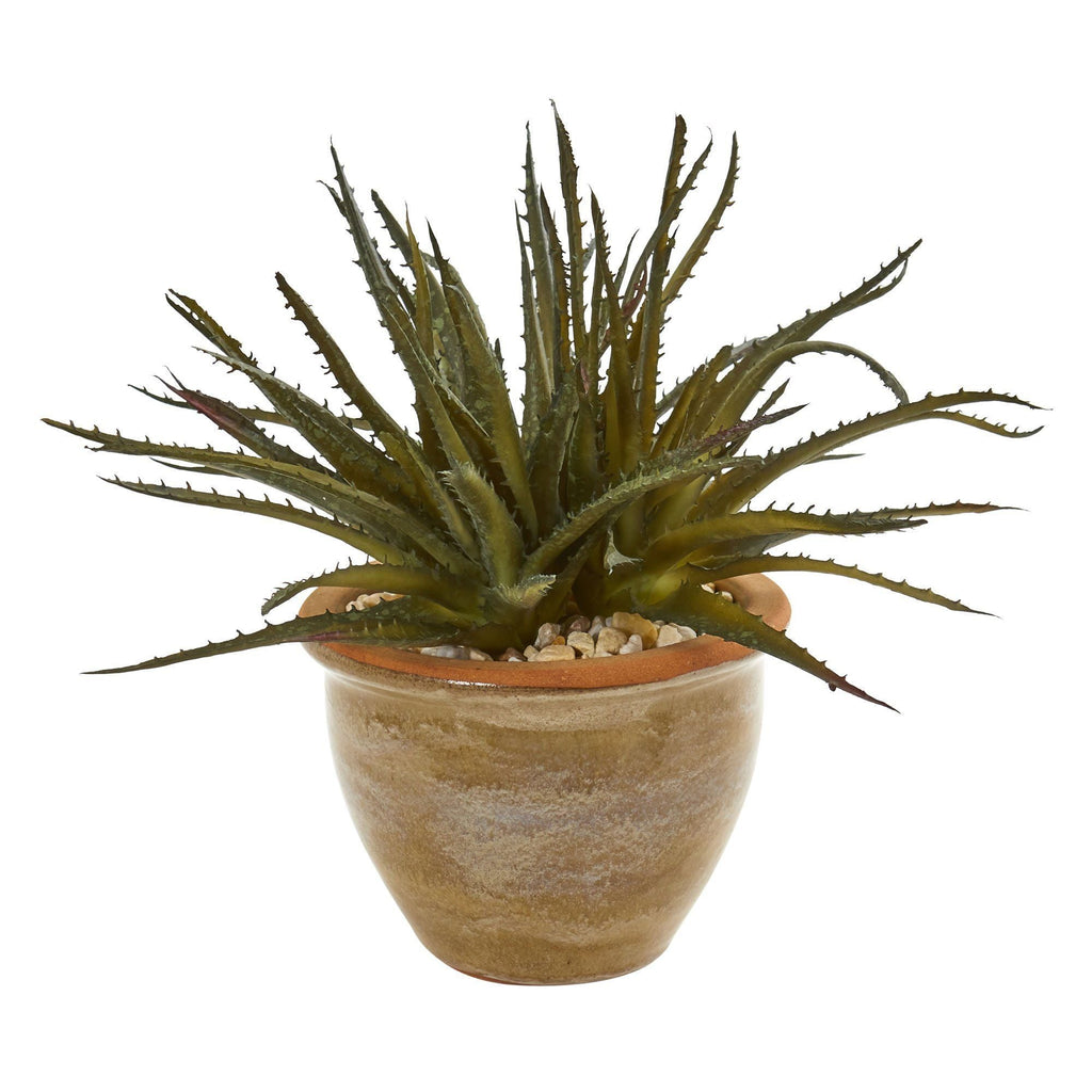 Aloe and Cactus Succulent Artificial Plant (Set of 2)