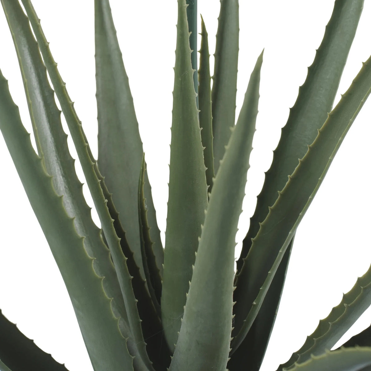 Aloe Vera Artificial Tree 33.5in