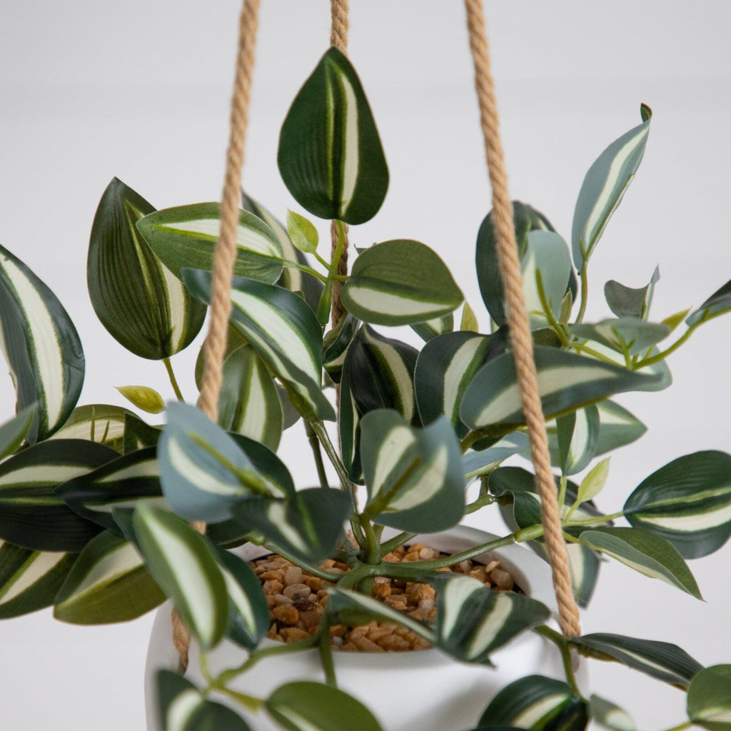 Artificial Wandering Jew & String of Hearts Hanging Plant - Set of 2