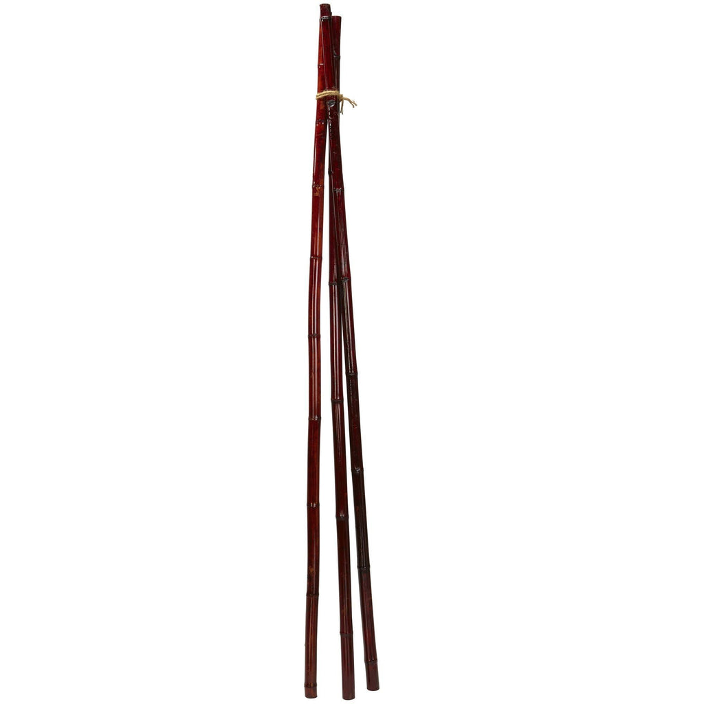 Bamboo Poles (Set of 12)