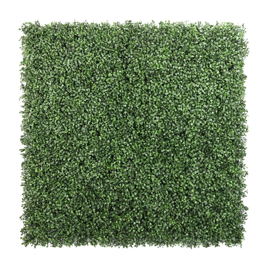 Sample Panel – Dark Boxwood Green Wall (Small Sample)