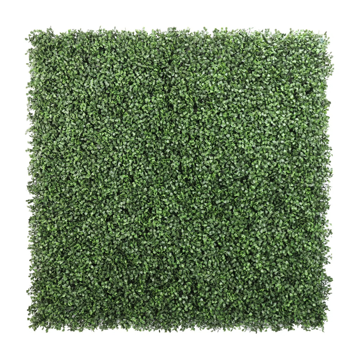 Sample Panel – Dark Boxwood Green Wall (Small Sample)