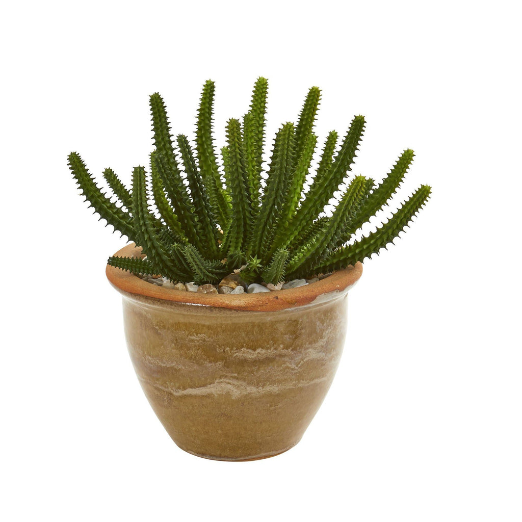 Cactus Succulent Artificial Plant in Ceramic Vase (Set of 2)
