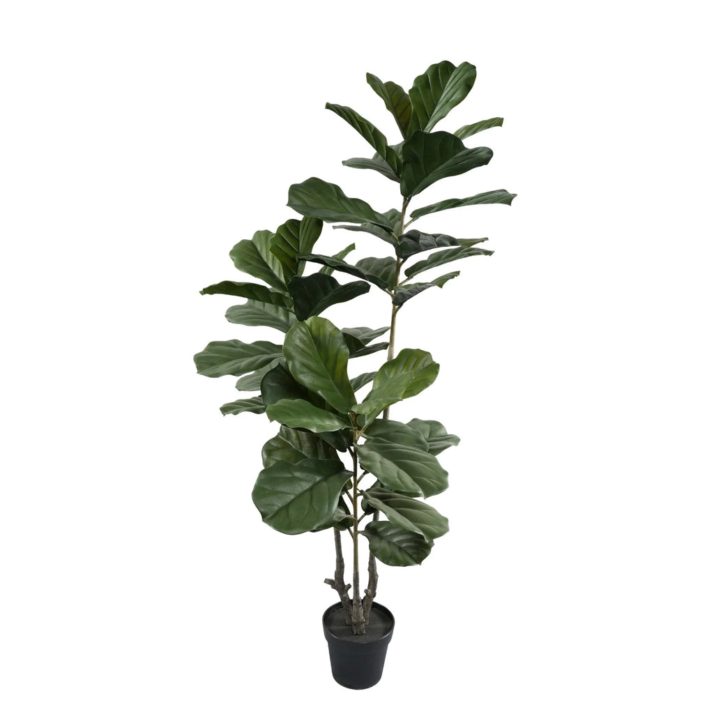 Fiddle Leaf Artificial Tree 63.0in – UV Resistant