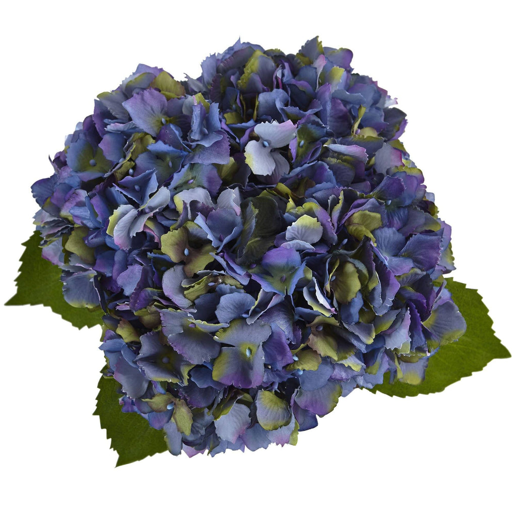 Hydrangea in New Baby Ceramic