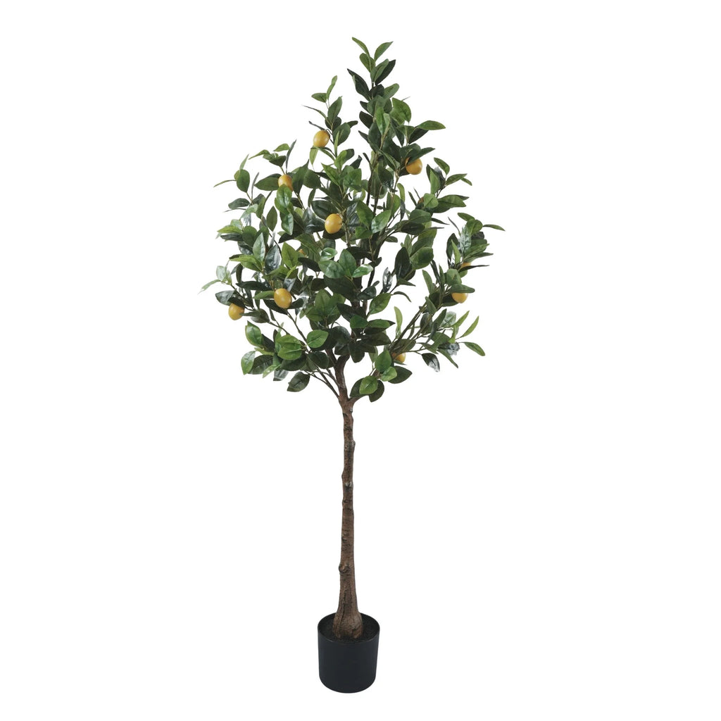 Lemon Artificial Tree 63.0in
