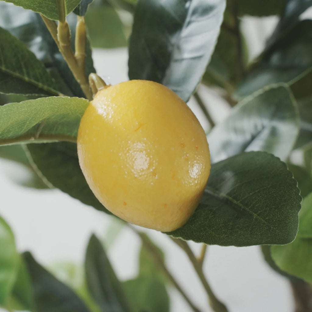 Lemon Artificial Tree 63.0in