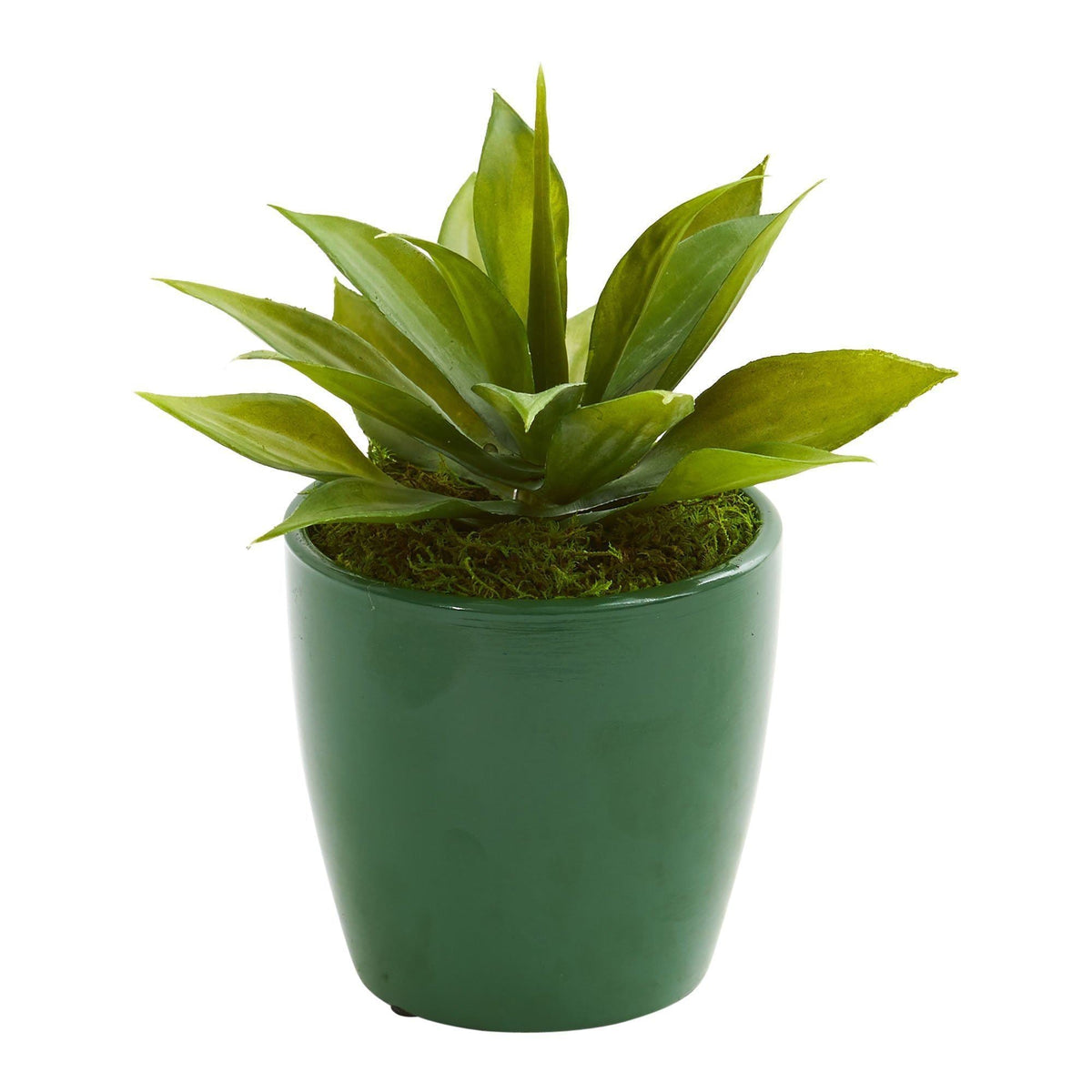 Mini Agaves Artificial Plant in Green Planter (Set of 3)