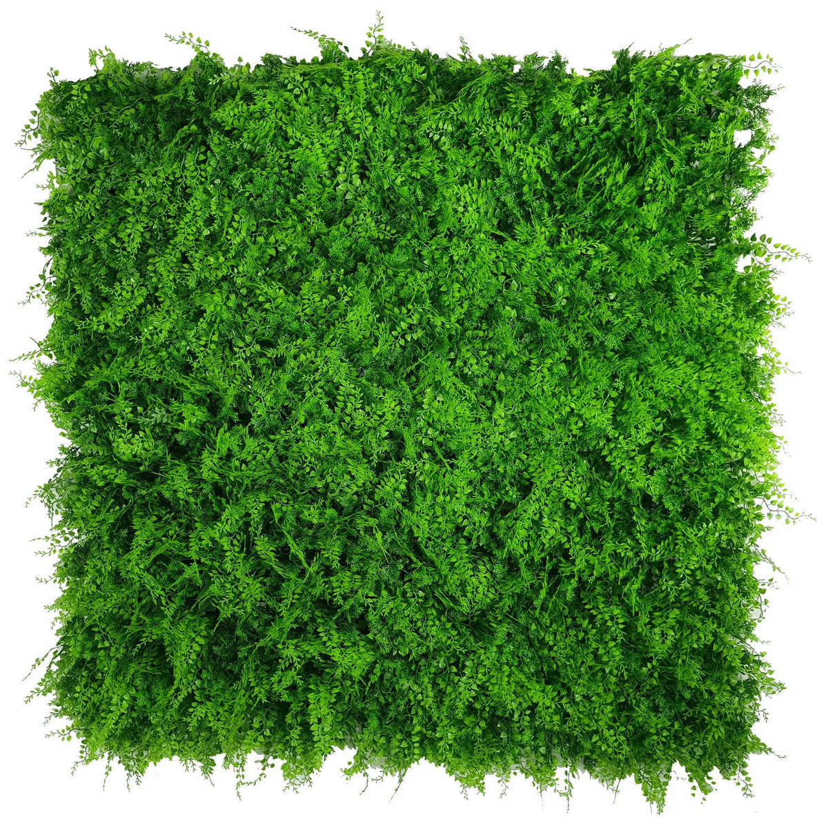 Sample Panel – Lush Fern Green Wall (Small Sample)