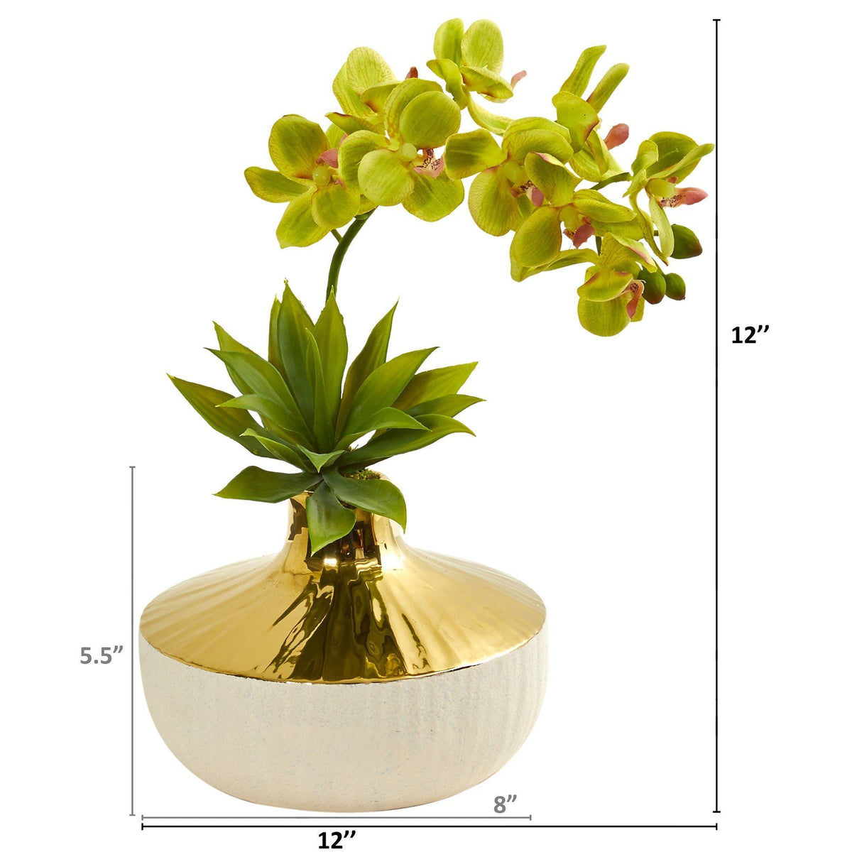 Phalaenopsis Orchid and Agave Artificial Arrangement in Vase