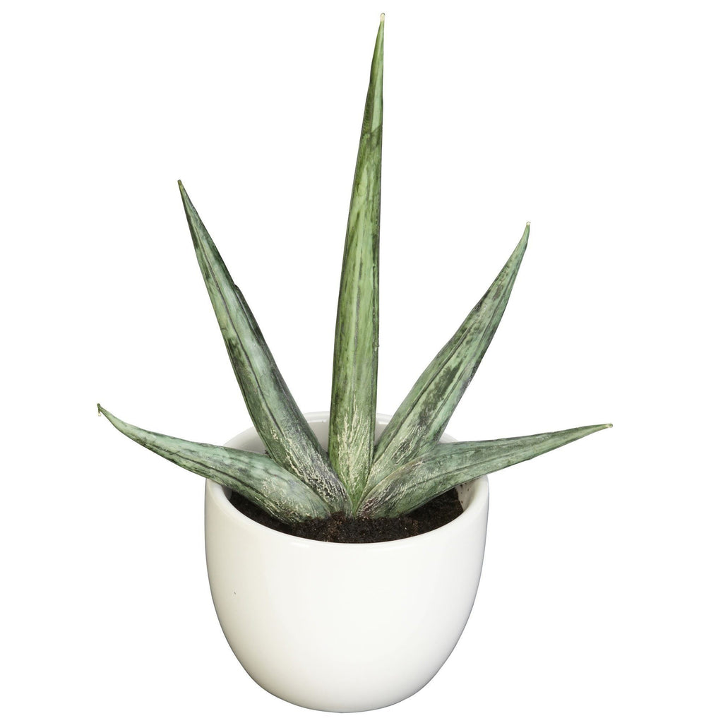 Southwest Artificial Succulent Collection - Set of 3