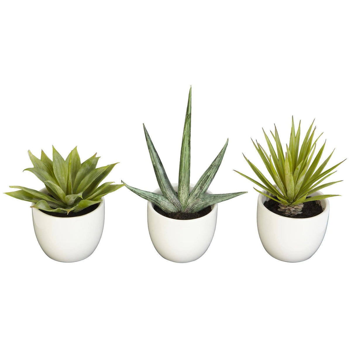 Southwest Artificial Succulent Collection - Set of 3