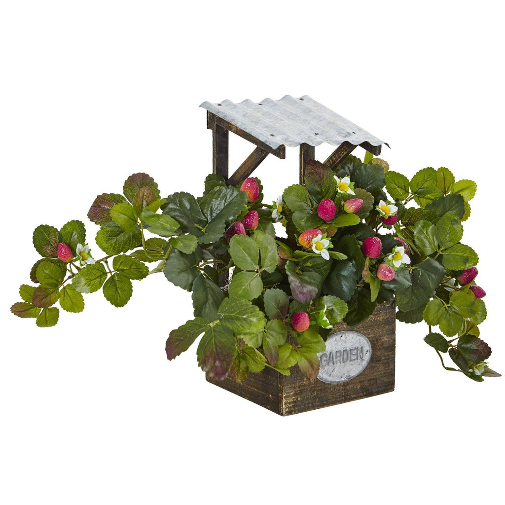 Strawberry Bush in Garden Planter