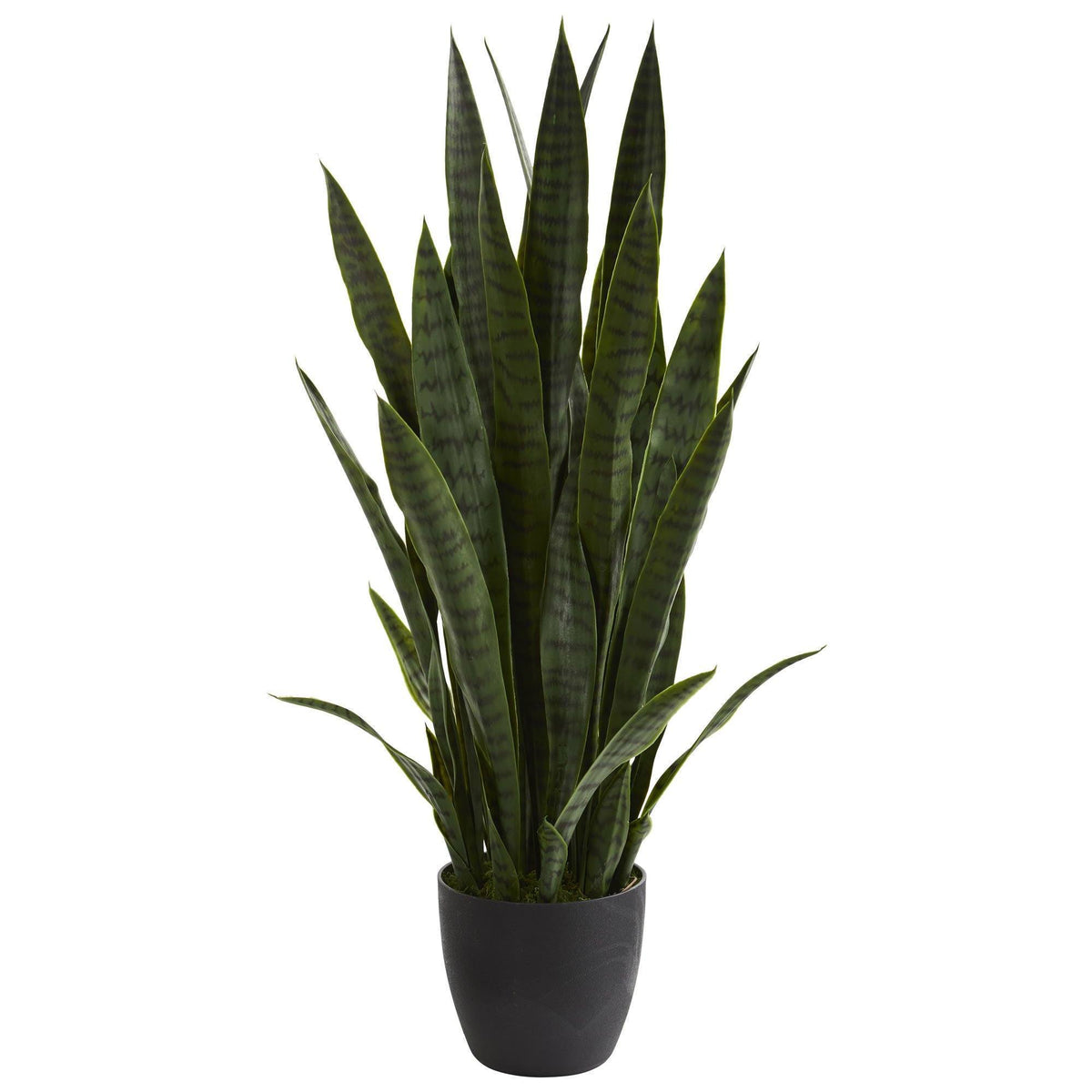 this is a test Product