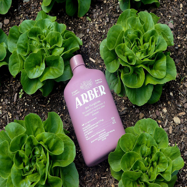 Organic Bio Fungicide - House Plant Shop