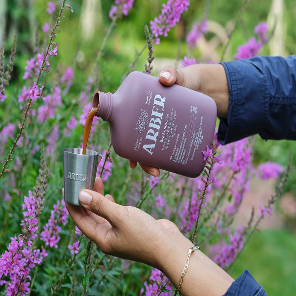 Organic Bio Fungicide - House Plant Shop
