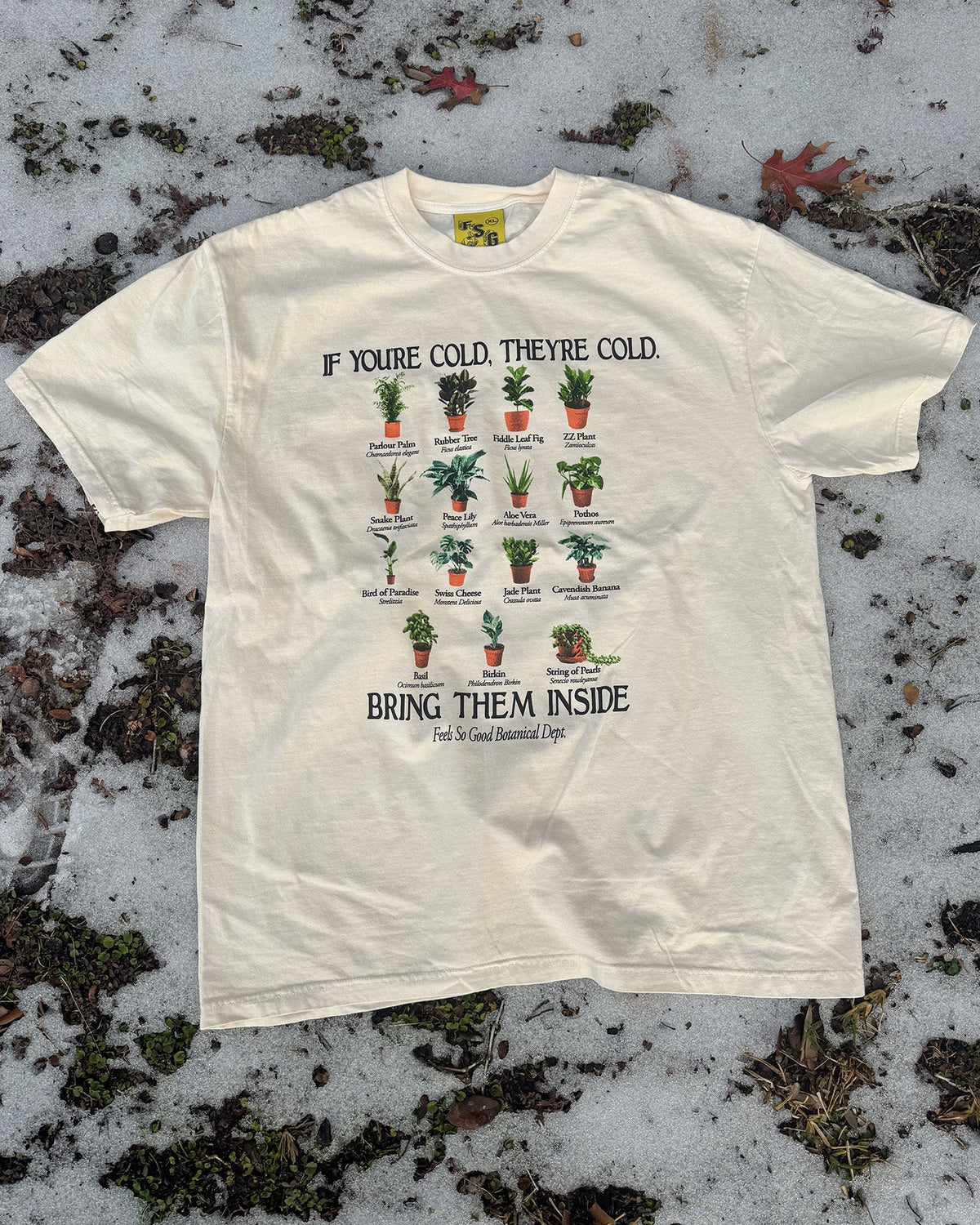Bring Them Inside