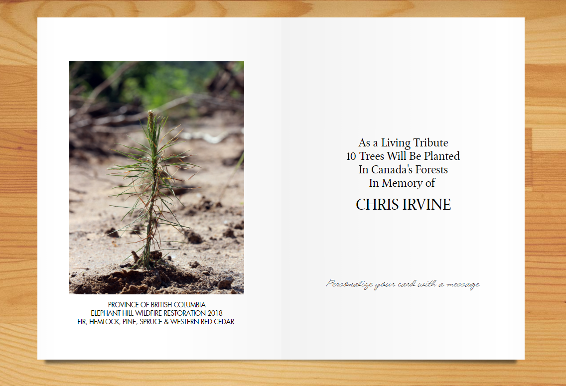 Plant a Tree in Canada with Personalized Photo Card