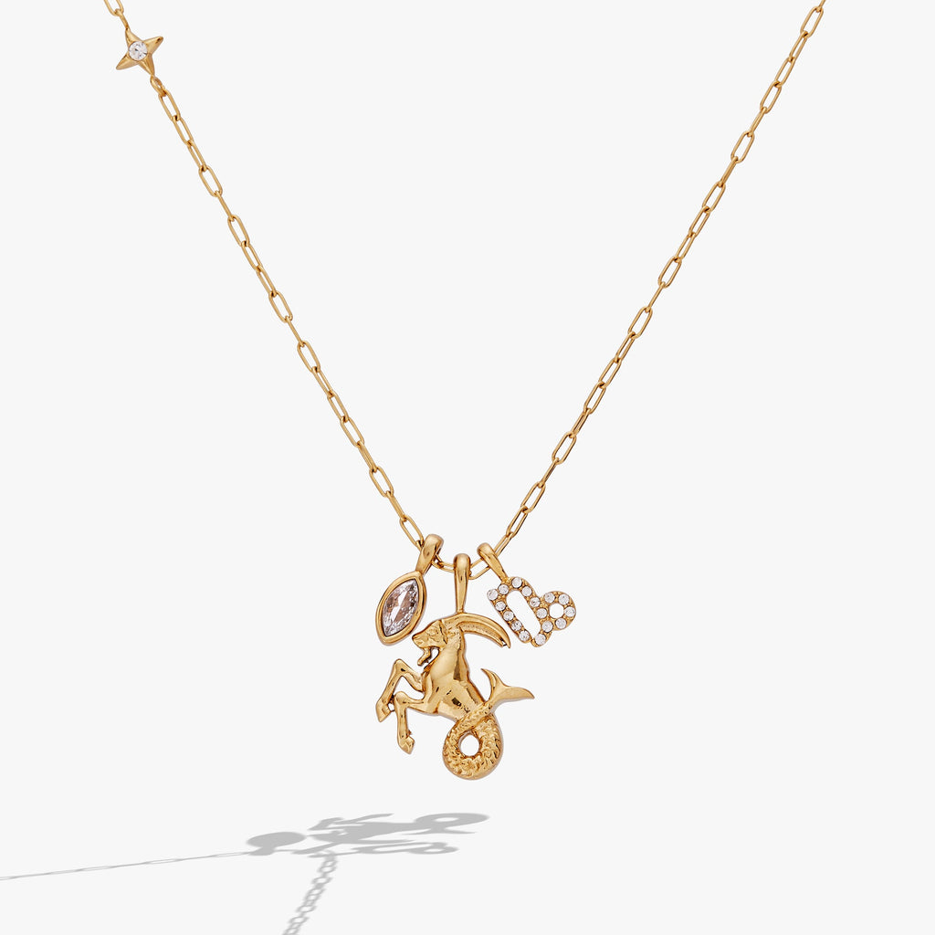 Capricorn Zodiac Charm Cluster Necklace