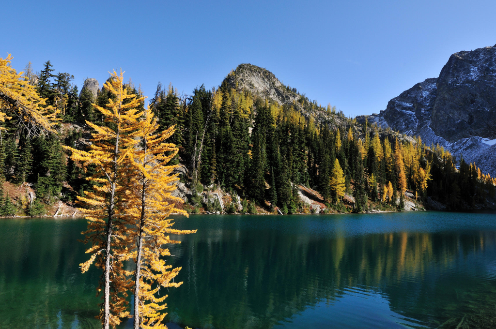 Plant a Tree in Canada with Personalized Photo Card