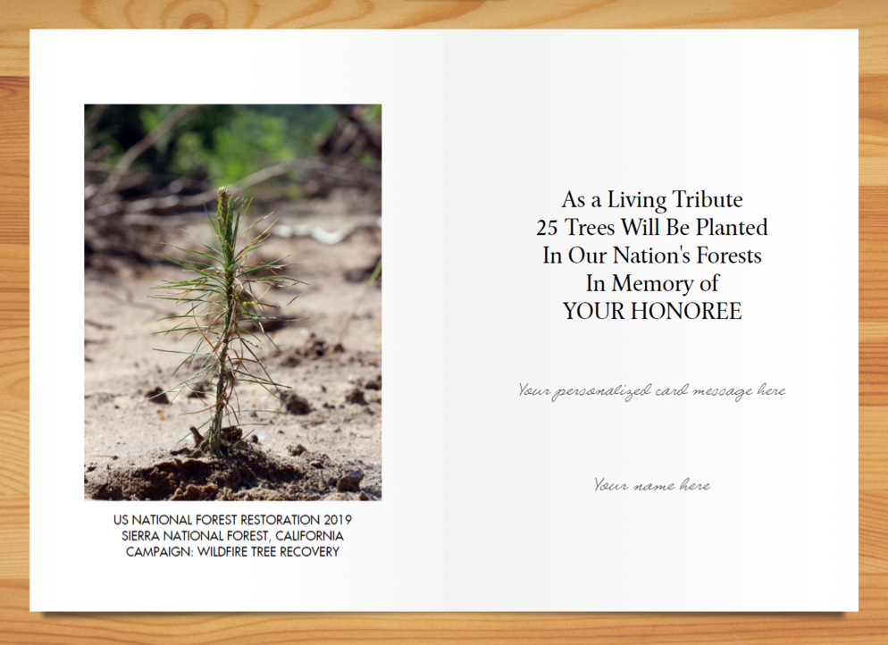Send a Reforestation Sympathy Card - A Living Tribute®