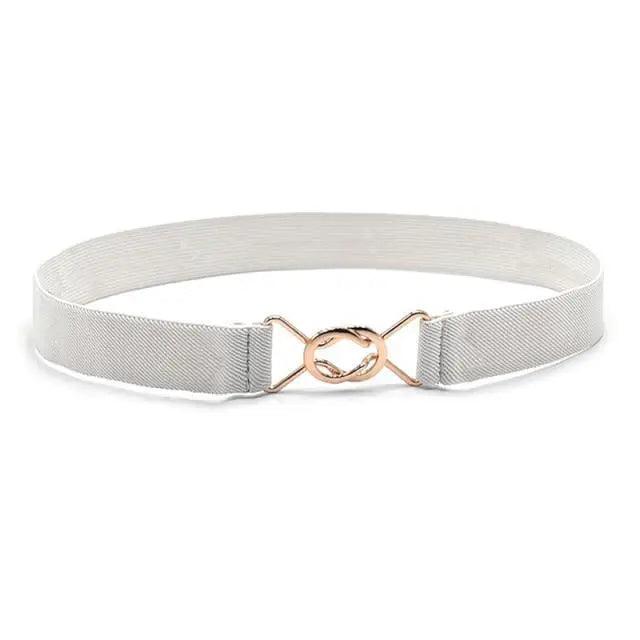 Elegant Wide Fabric Strap  Silver Metal Buckle Belts For Women Trendy Women's Fashion Stretchable Classic Color Belts