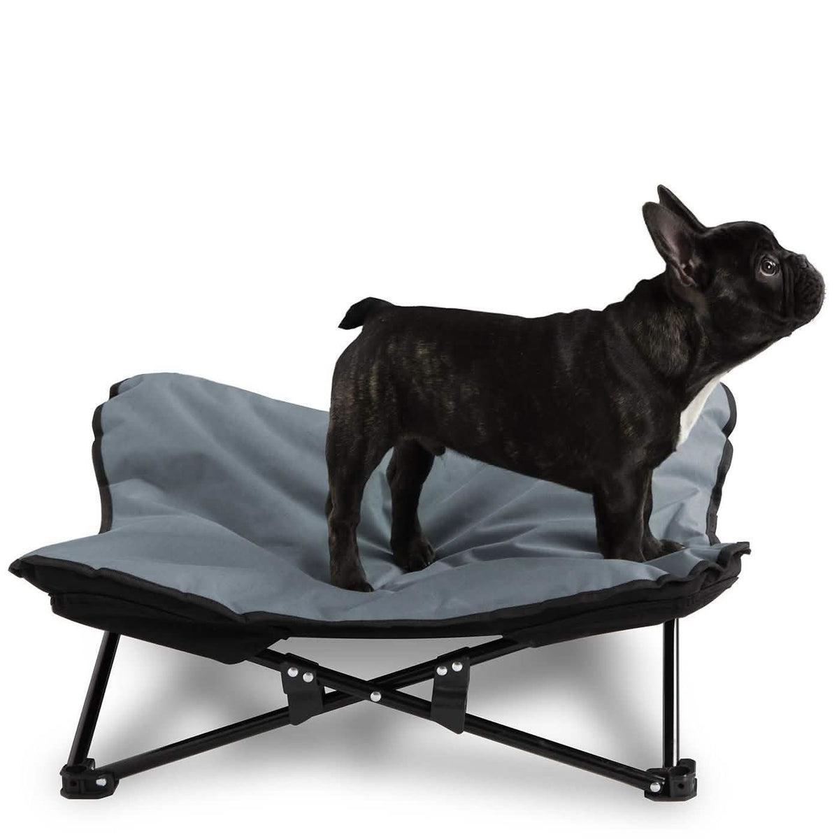 Elevated Camping Pet Bed Medium