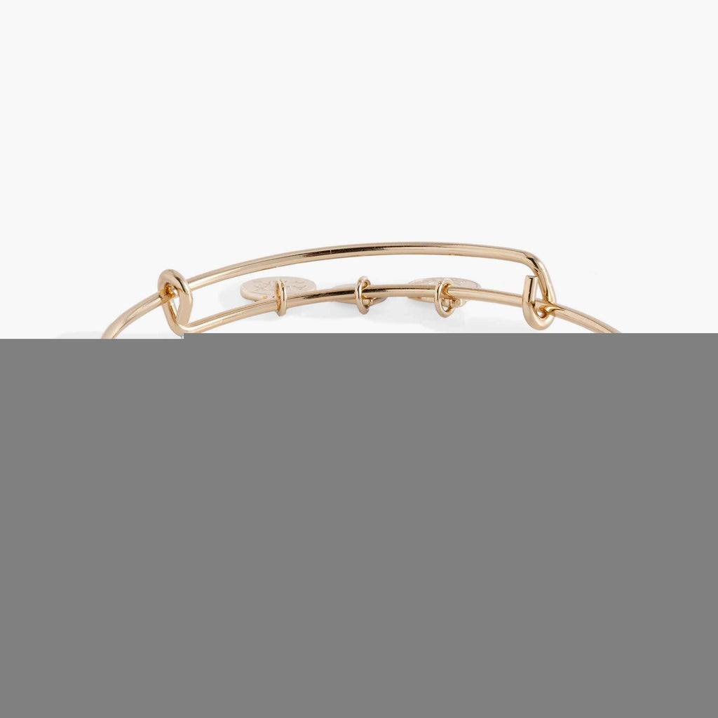 February Birthstone Emerald Cut Bangle
