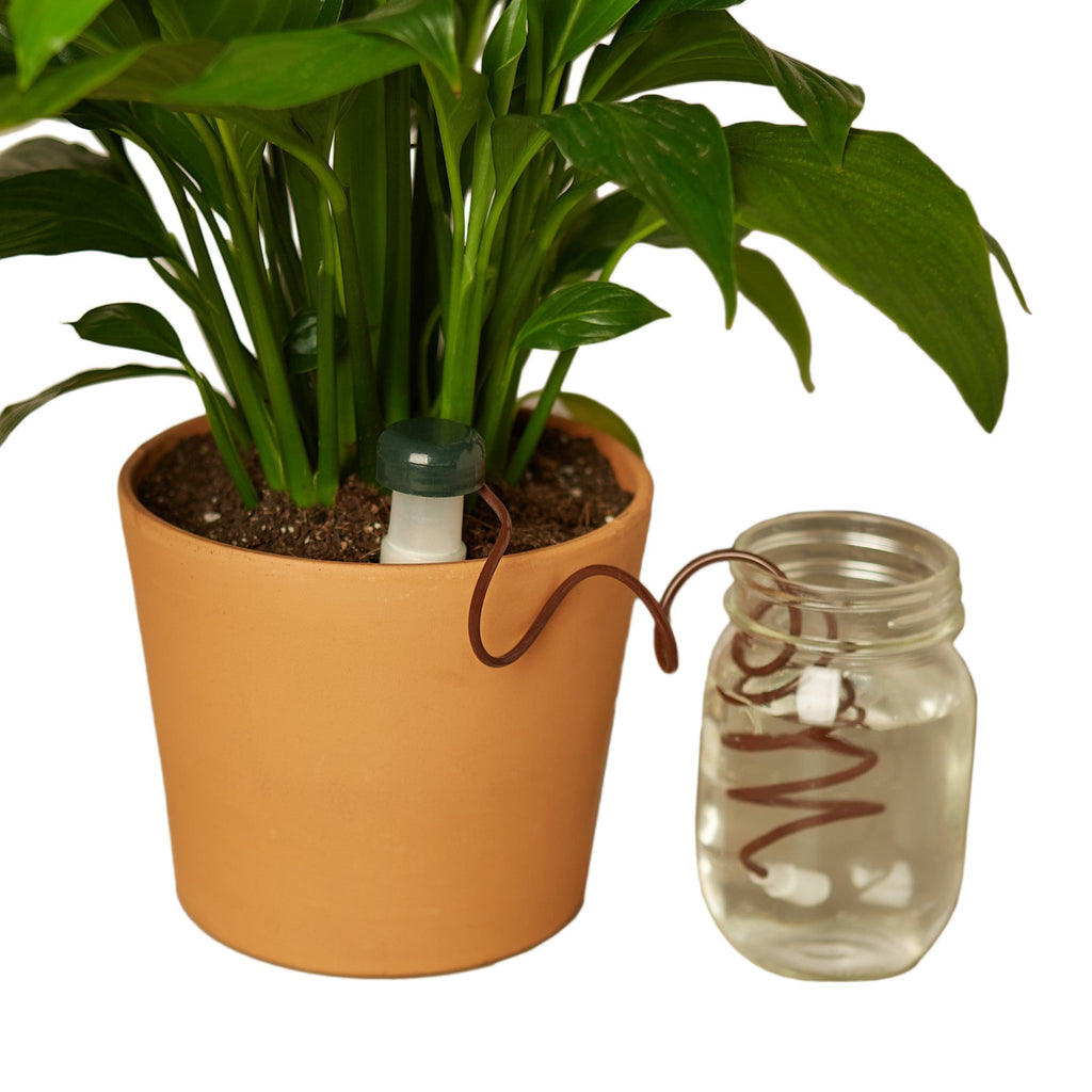 Automatic Plant Waterers - House Plant Shop