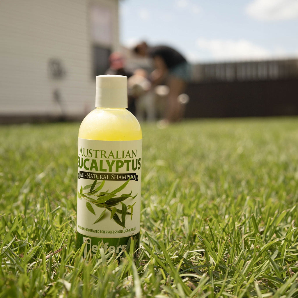 Jeffers Australian Eucalyptus All-Natural Dog Shampoo - Aids in Repelling Fleas, Ticks, Flies & Mosquitos