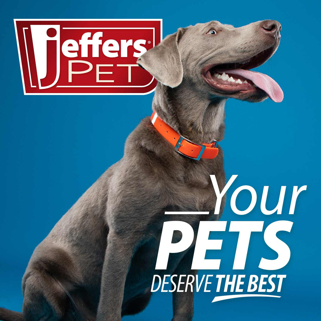 Jeffers Pet Vanilla Walnut Exfoliating Dog & Cat Conditioning Shampoo