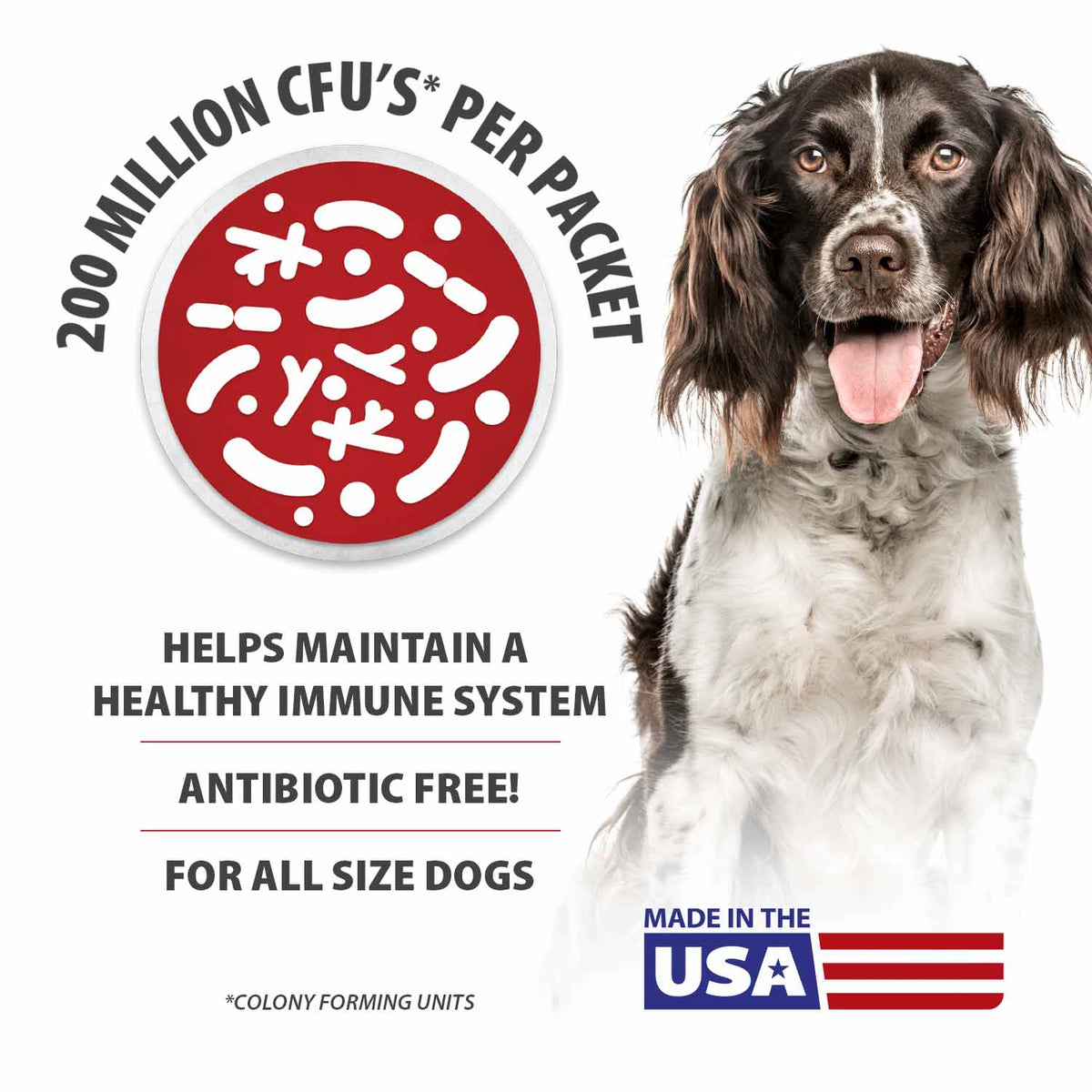 Jeffers BELLY BUDDY Probiotic Supplement Powder for Dogs – Multi-Strain Digestive & Immune Support