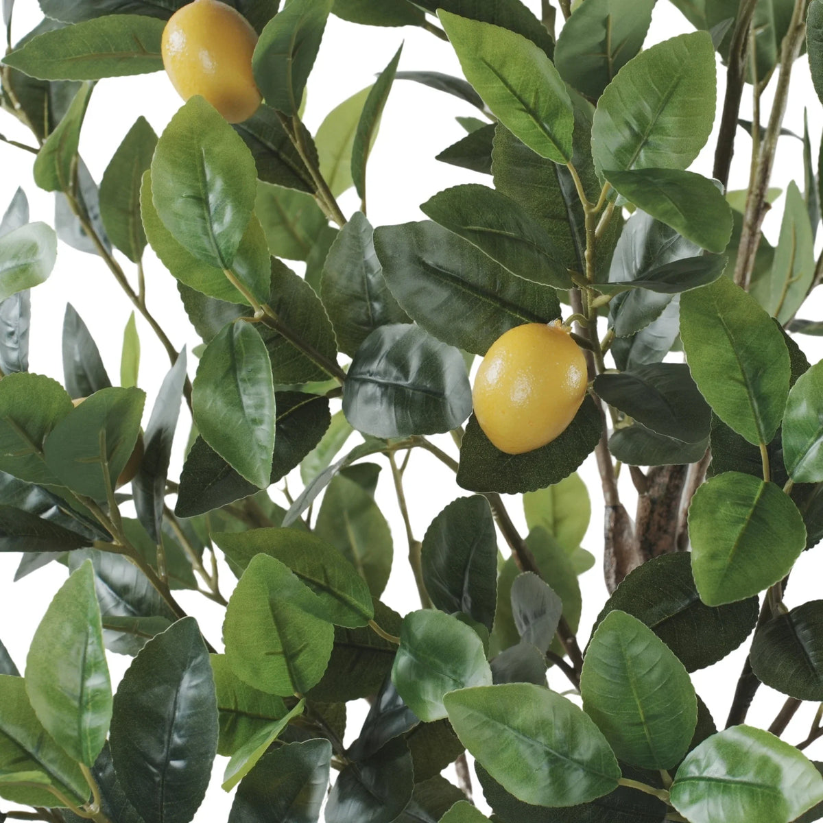 Lemon Artificial Tree 63.0in