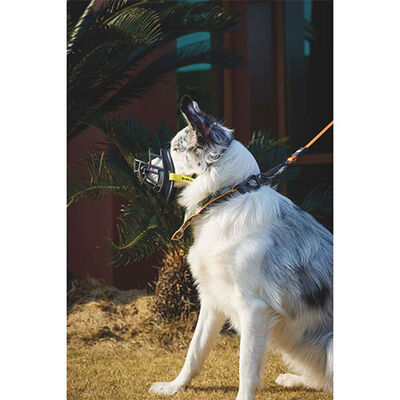 M-Pets Bark Guard Dog Muzzle Breathable Safety Design XL