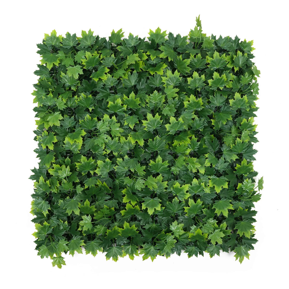 Maple Artificial Vertical Garden Green Wall Panel 40×40in 11 SQ FT – UV Resistant – Mega Sale