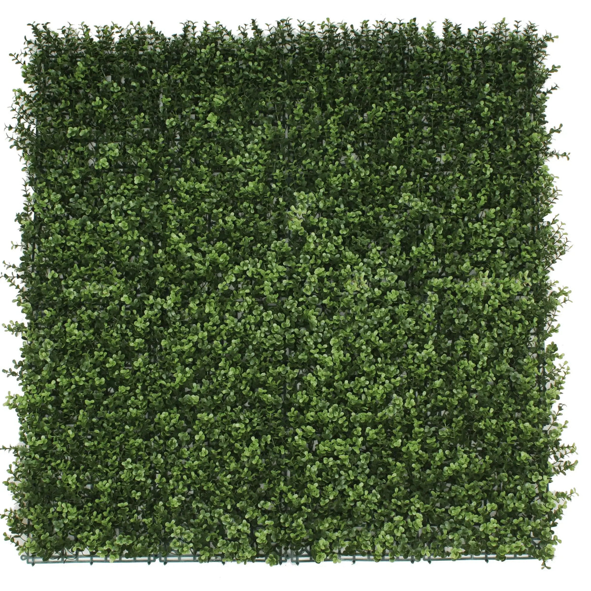 Natural Boxwood Artificial Vertical Garden Green Wall Panel 40×40in 11 SQ FT – UV Resistant – Commercial Grade