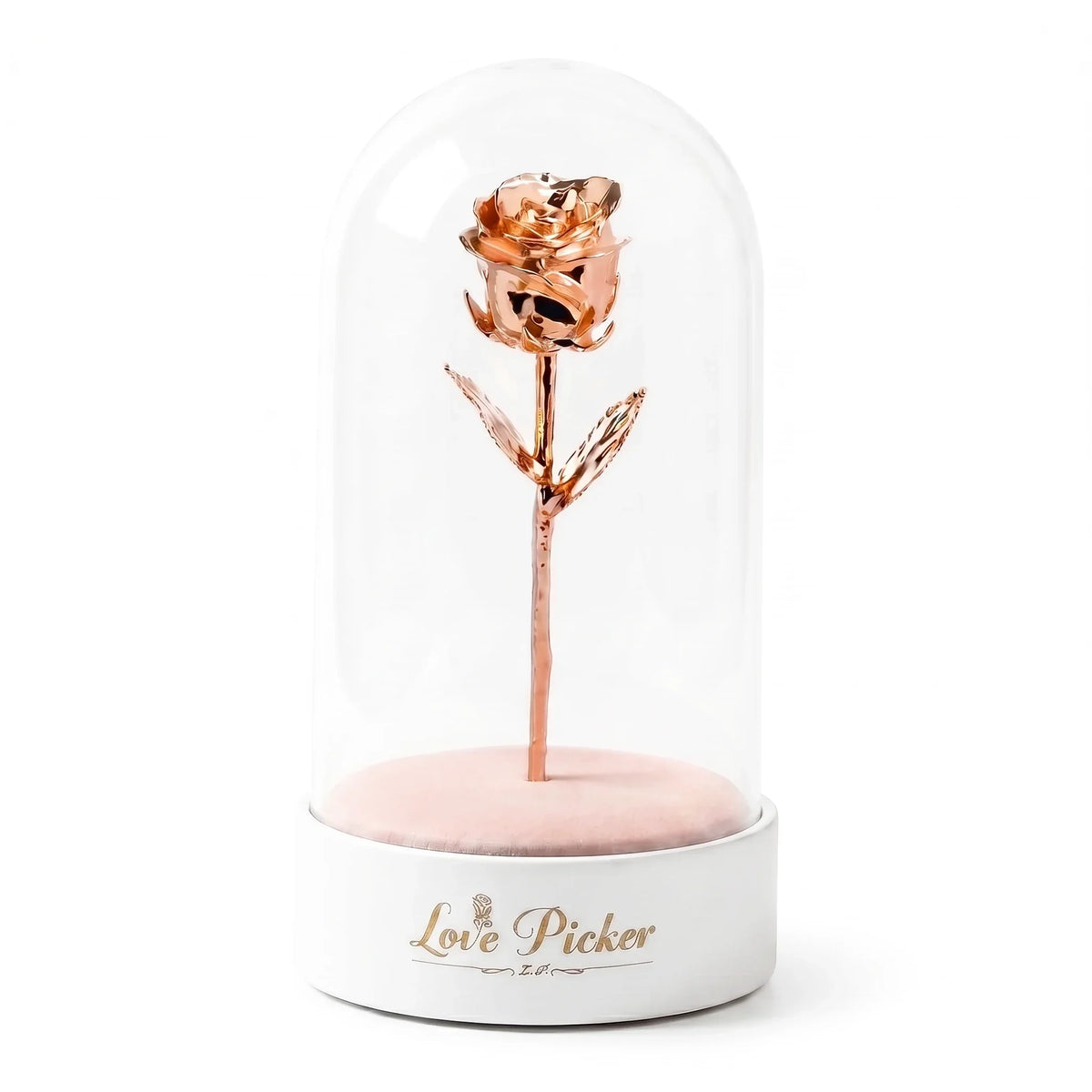 Signature Clear 7” Rose Dome